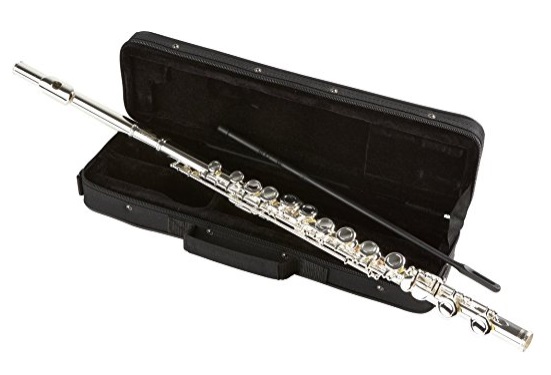 Allora AAFL 229 Student Series Flute Model