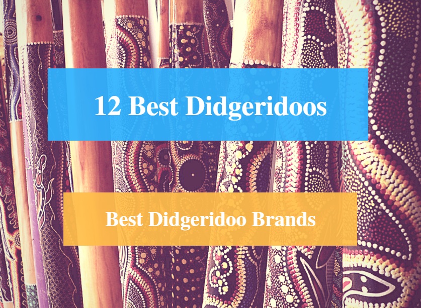 Best Didgeridoo, Top Didgeridoo & Best Didgeridoo Brands
