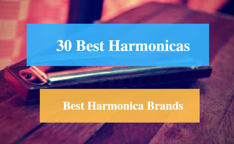 Best Harmonica & Best Harmonica Brands
