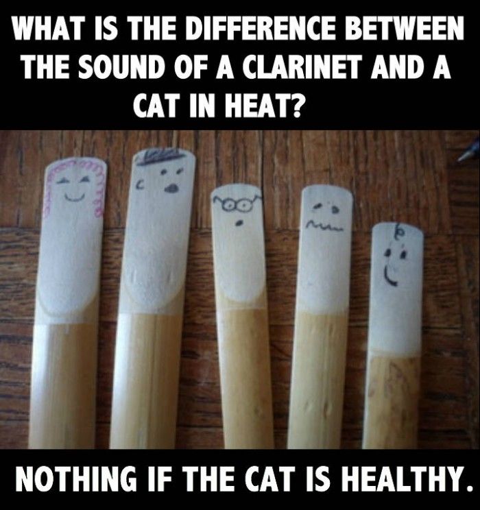 The Funniest Musician Jokes Ever Told [PART 1] CMUSE