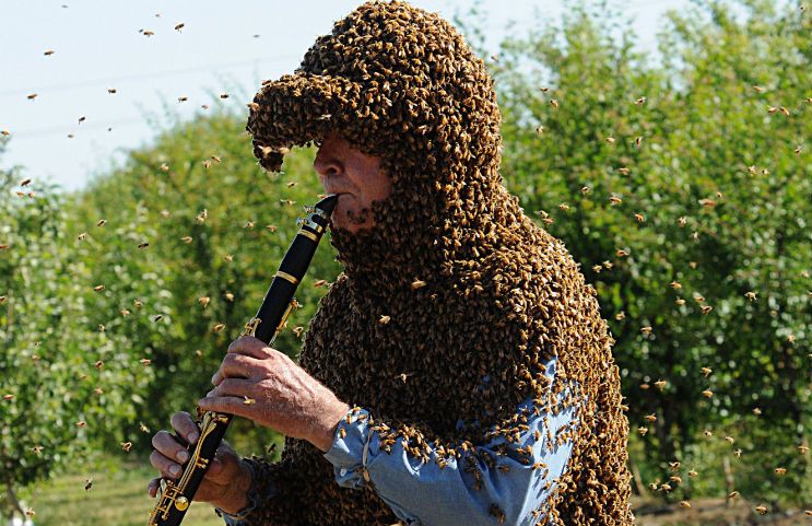 Norman Gary plays clarinet covered in bees