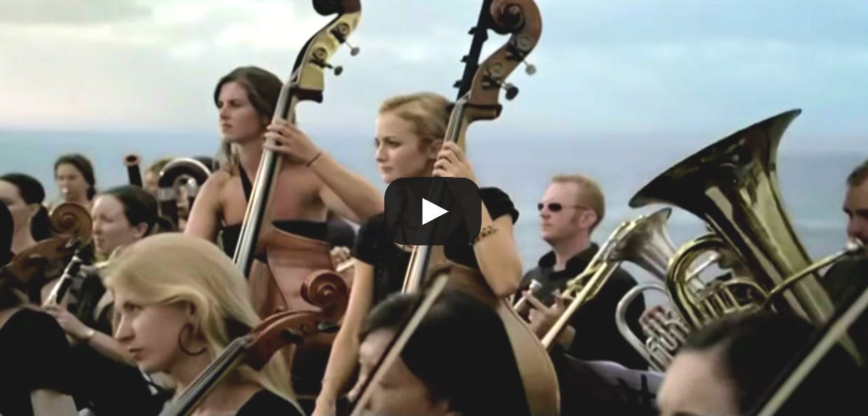 musicians bring whales to surface