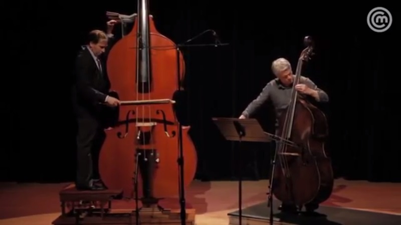 Octobass The Largest String Instrument Ever Invented
