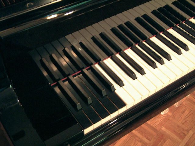 Bosendorfer extra keys 