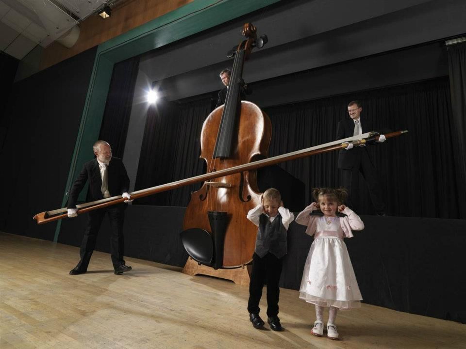 worlds biggest violin