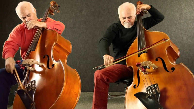 Flight of the Bumblebee for double bass