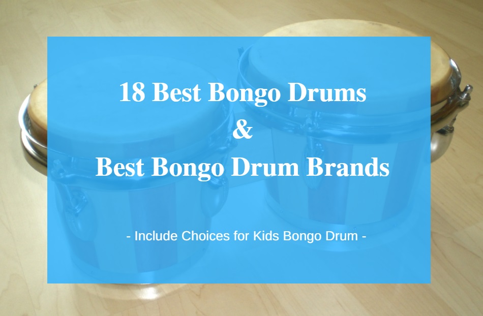 Best Bongo Drums & Best Bongo Drum Brands
