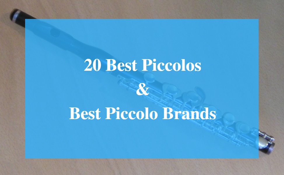 Best Piccolo & Best Piccolo Brands
