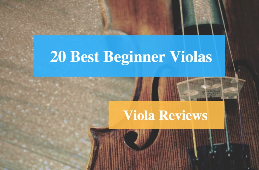 Best Beginner Viola & Viola Reviews