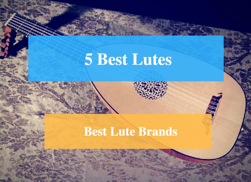 Best Lute & Best Lute Brands