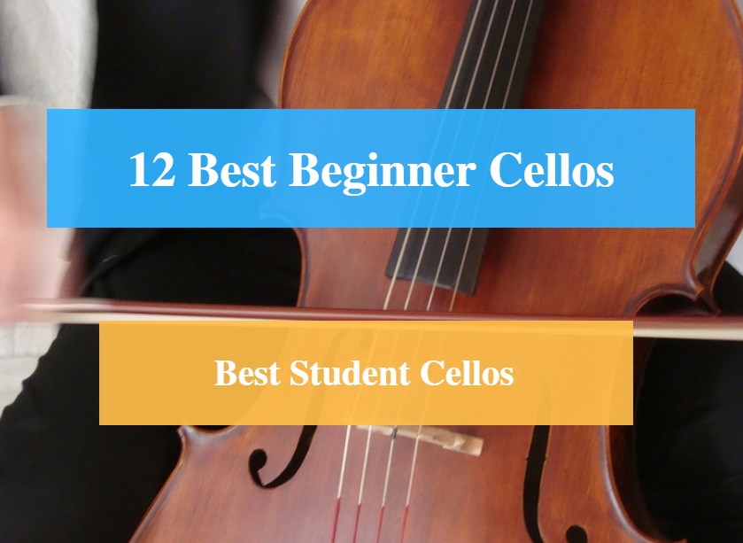 Best Beginner Cello, Best Student Cello, Best Beginner & Student Cello Brands