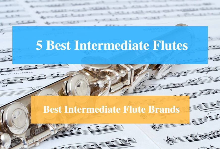 Best Intermediate Flute & Best Intermediate Flute Brands