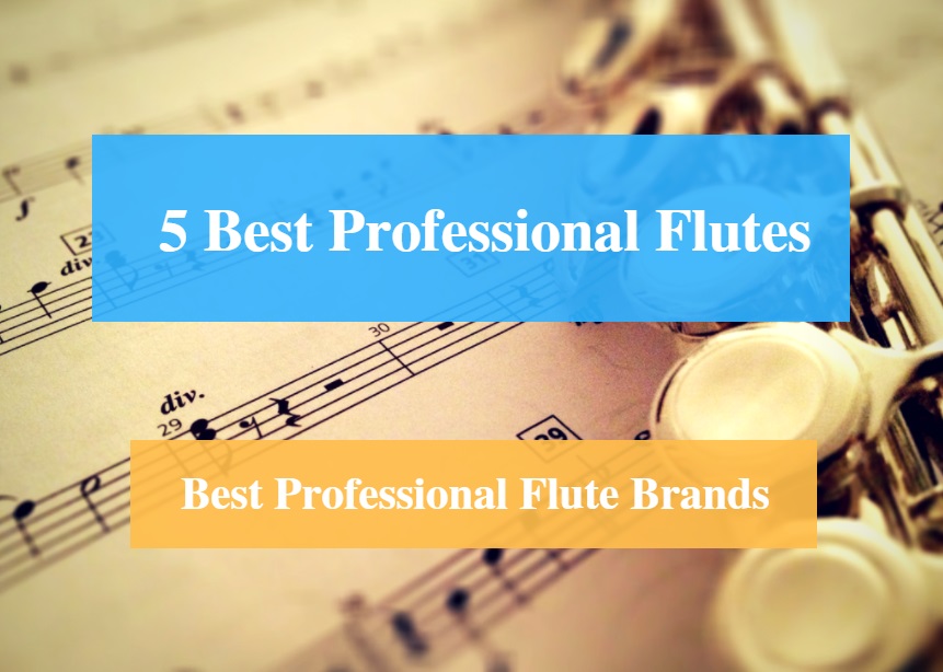 Best Professional Flute & Best Professional Flute Brands
