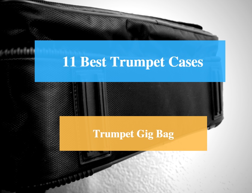 Pampet Lightweight Practice Trumpet Mute Silencer Trumpet Case Soft Trumpet Bag Compatible All Trumpet 