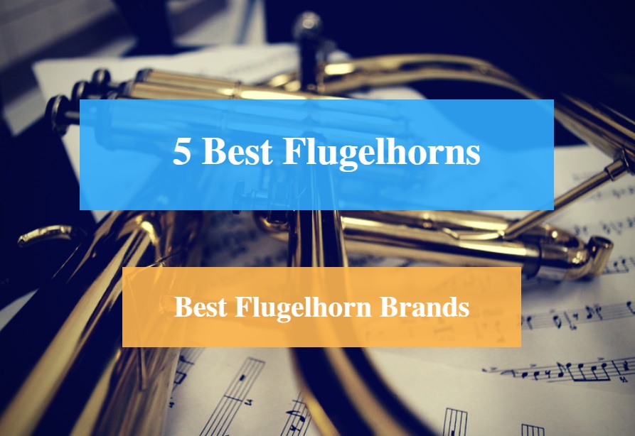 5 Best Flugelhorn Reviews 2018 Best Flugelhorn Brands CMUSE