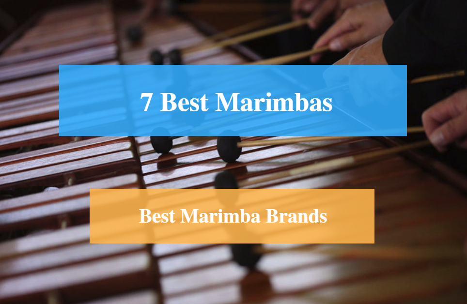 Best Marimba & Best Marimba Brands