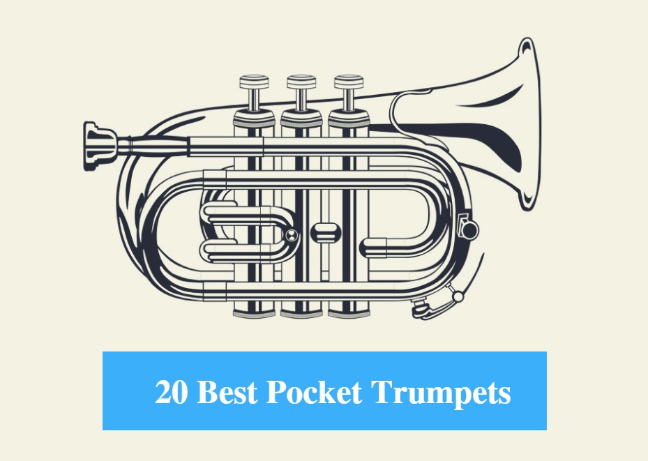 20 Best Pocket Trumpet Reviews 2022 – Best Pocket Trumpet Brands 
