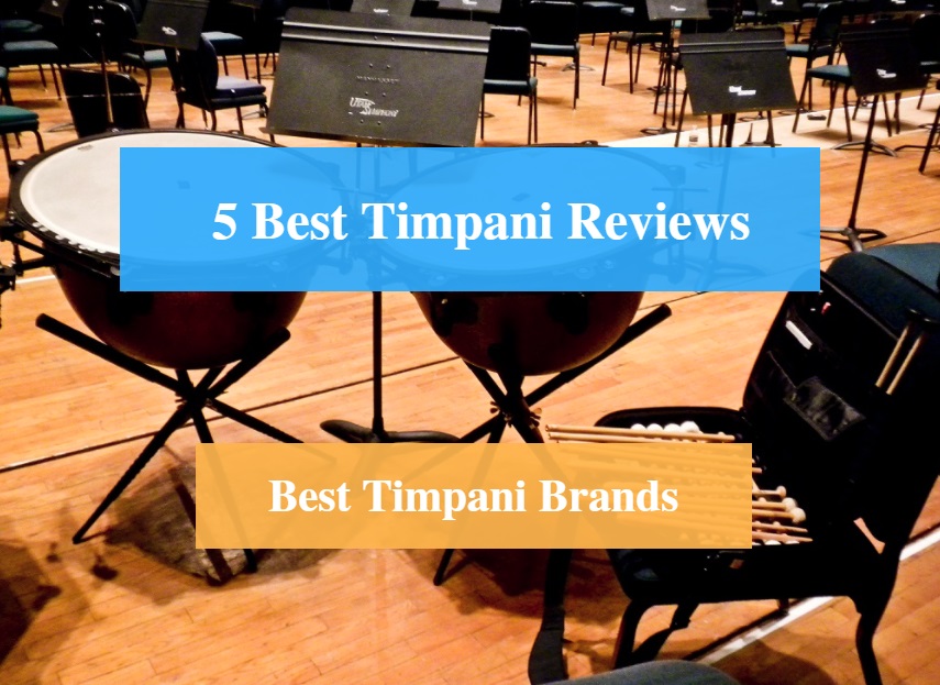 Best Timpani & Best Timpani Brands