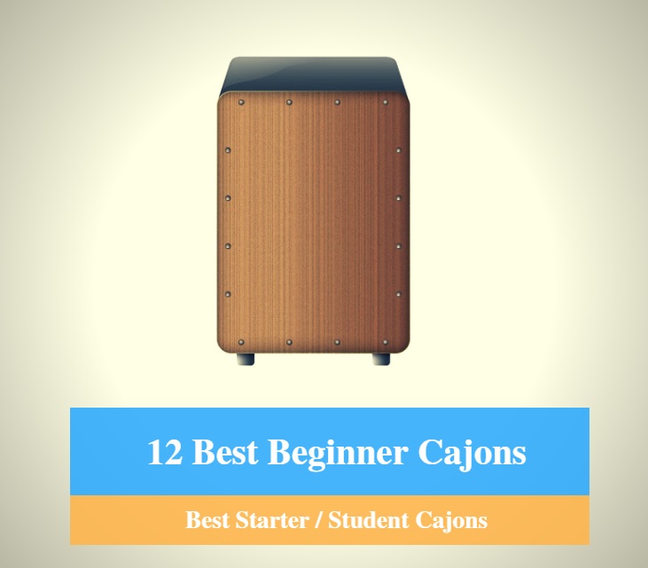 Best Cajon for Beginners, Best Starter Cajon & Best Student Cajon