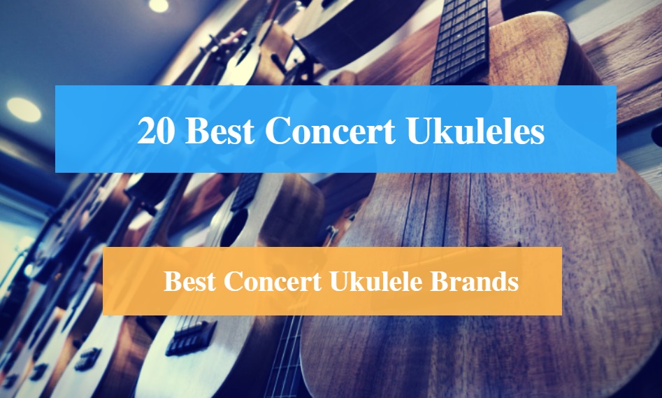 Best Concert Ukulele & Best Concert Ukulele Brands