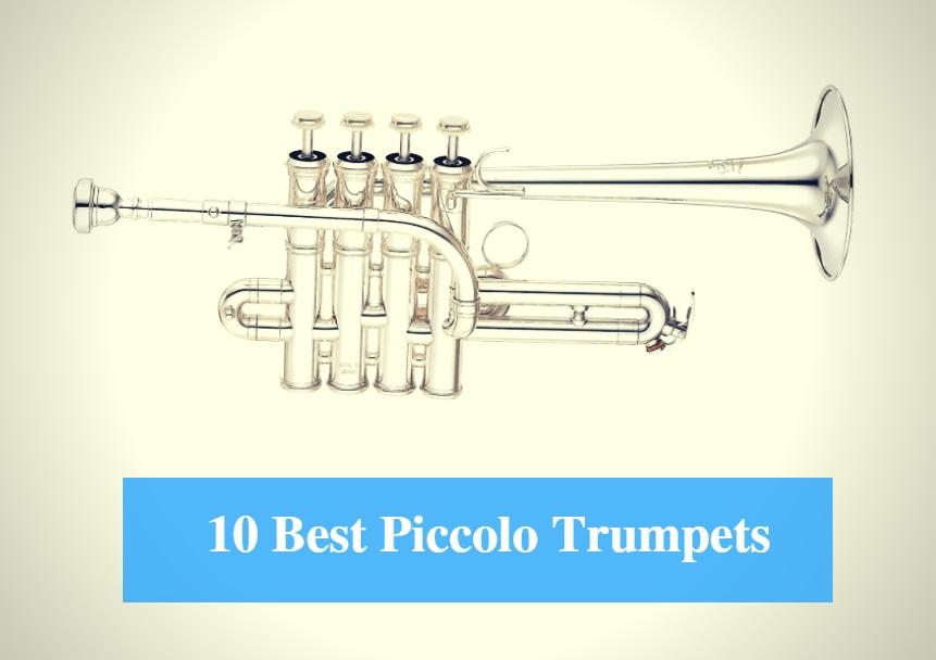 Best Piccolo Trumpet & Best Piccolo Trumpet Brands