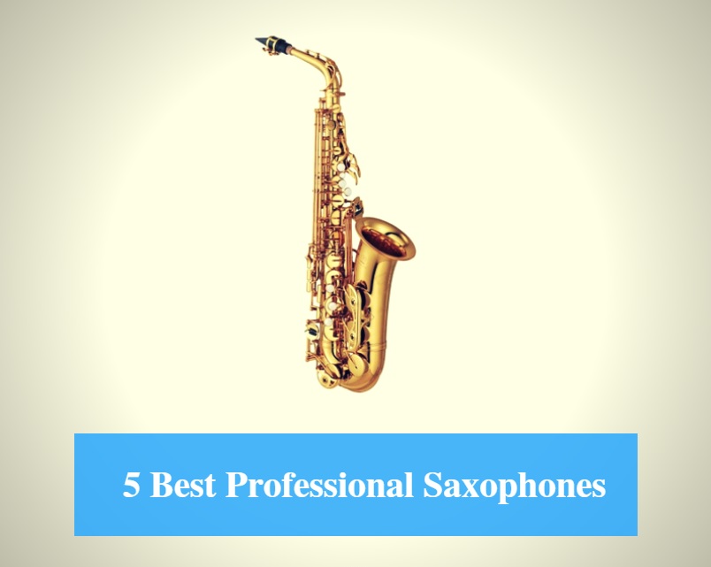 Best Professional Saxophone & Best Professional Saxophone Brands