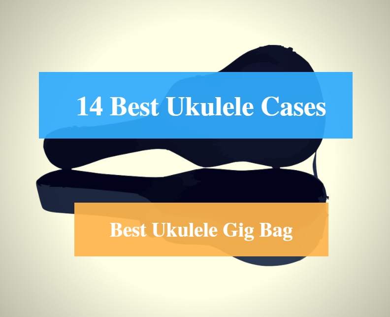 Best Ukulele Case & Best Ukulele Gig Bag