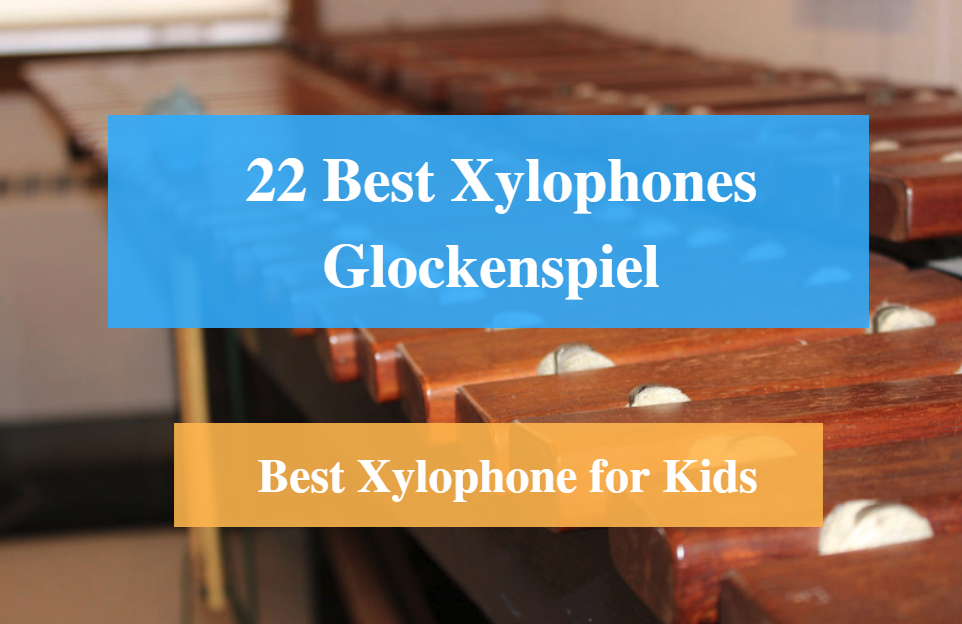 Best Xylophone, Best Glockenspiel & Best Xylophone Brands