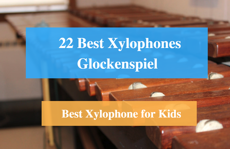 best xylophone for toddlers