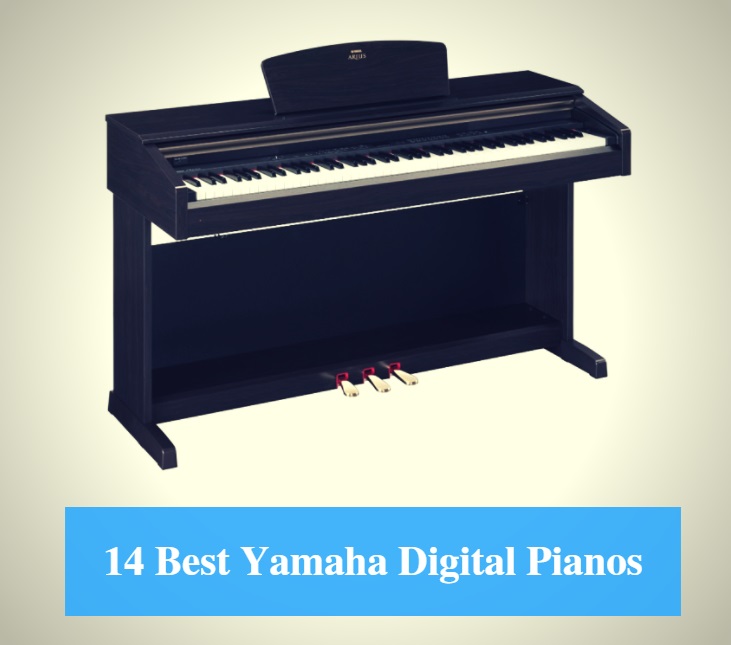 Yamaha Clavinova Comparison Chart