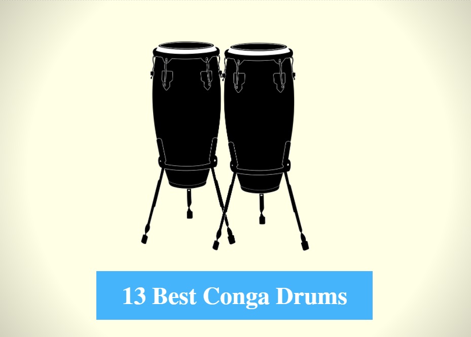 Best Conga Drum & Best Conga Drum Brands