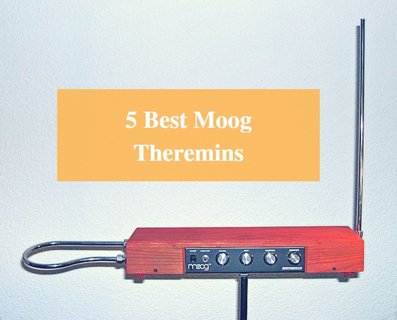 Best Theremin, Best Moog Theremins, Best Theremin Brands