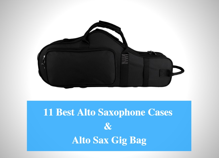 Blue Homyl High-end Ee Alto Saxophone Case Hardshell E Flat Alto Sax Carrying Case with Handle