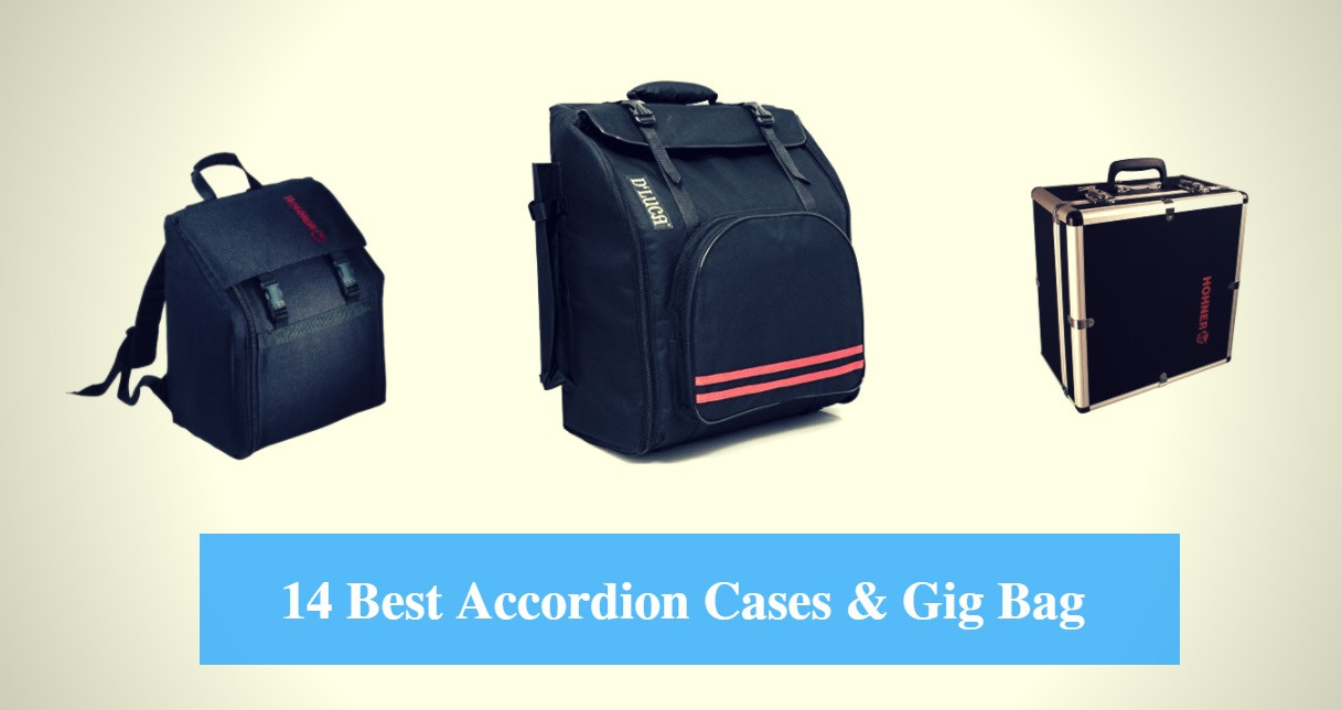 Best Accordion Case, Best Accordion Gig Bag & Best Accordion Case Brands