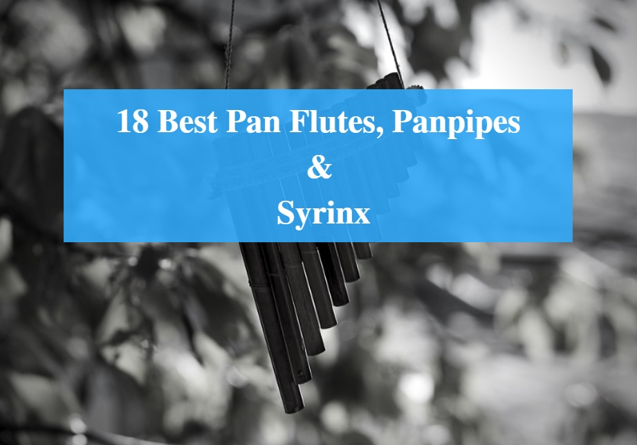 Best Pan Flute Brands, Best Pan Flute for Beginners, Best Panpipe & Greatest Syrinx