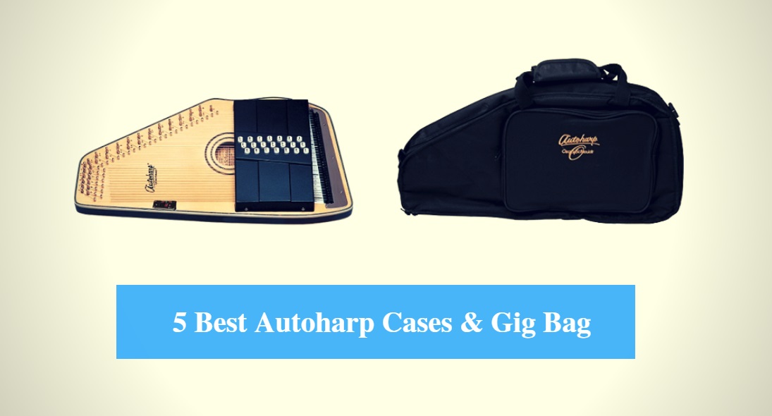 Best Autoharp Case, Best Autoharp Gig Bag & Best Autoharp Case Brands