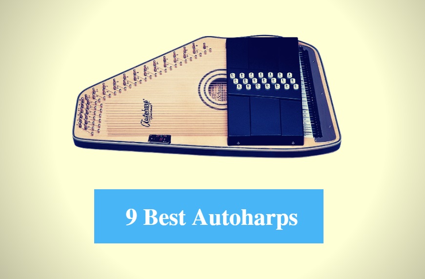 Best Autoharp & Best Autoharp Brands