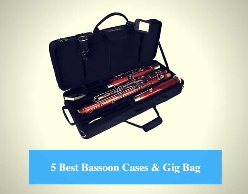 Best Bassoon Case, Best Bassoon Gig Bag & Best Bassoon Case Brands