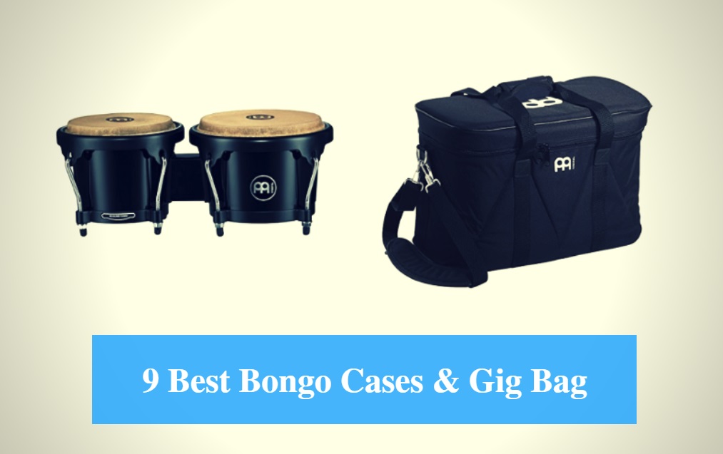 Best Bongo Case, Best Bongo Bag & Best Bongo Case Brands