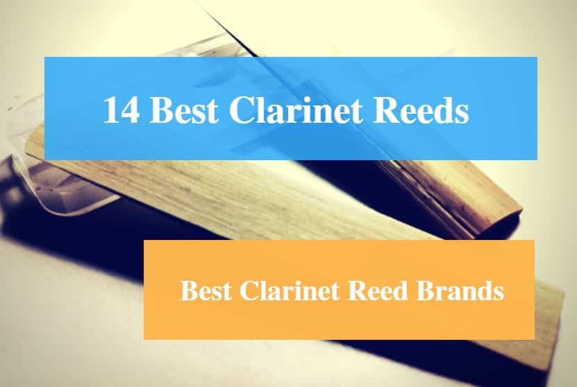 Best Clarinet Reeds, Best Clarinet for Beginners and Advanced Players, Best Clarinet Reed Brands