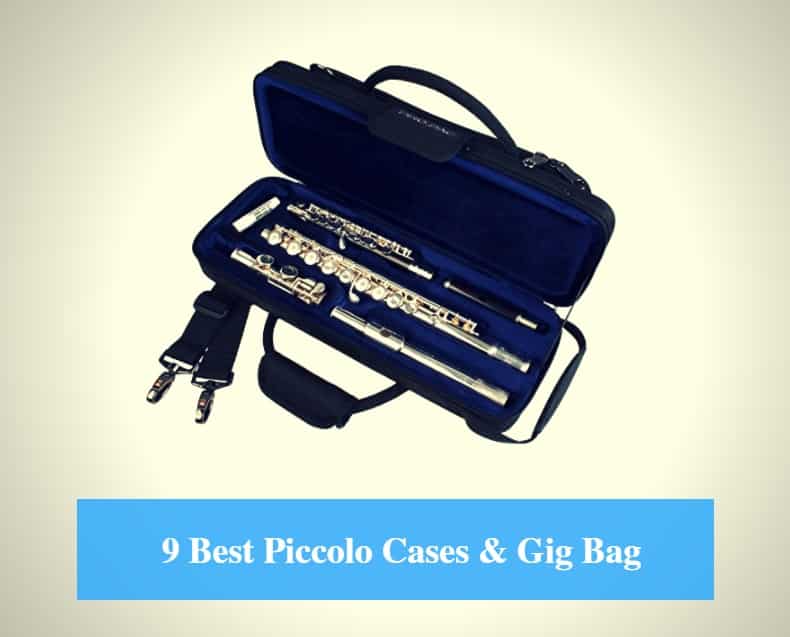 Best Piccolo Case, Best Piccolo Gig Bag & Best Piccolo Case Brands