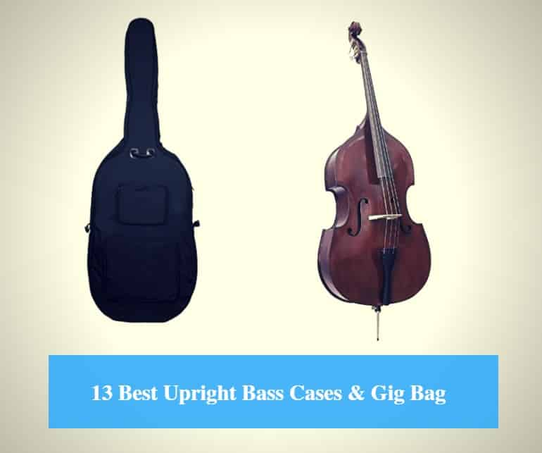 Best Upright Bass Case, Best Upright Bass Gig Bag & Best Double Bass Case Brands