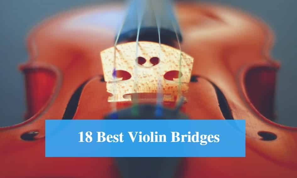 Best Violin Bridge & Best Violin Bridge Brands