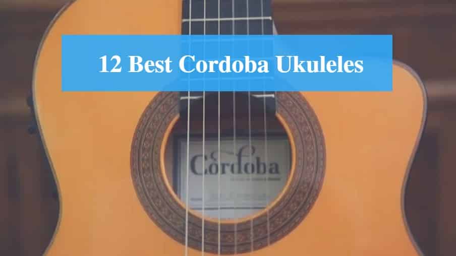 Best Cordoba Ukulele