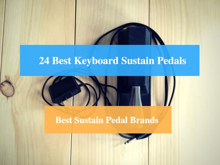 24 Best Keyboard Sustain Pedal Reviews 2022 (Best Sustain Pedal Brands) -  CMUSE