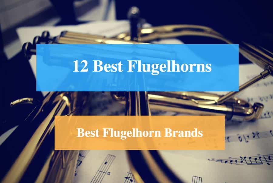 Best Flugelhorn & Best Flugelhorn Brands