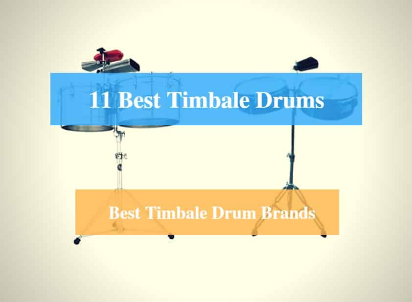 Best Timbale Drum & Best Timbale Drum Brands