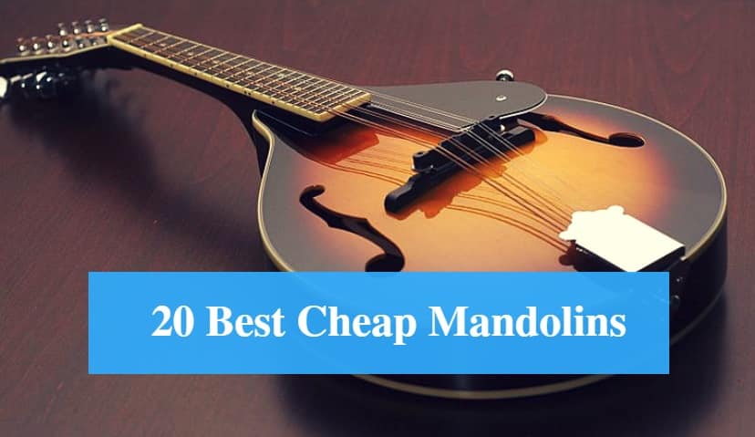 Best Cheap Mandolin & Best Budget Mandolin