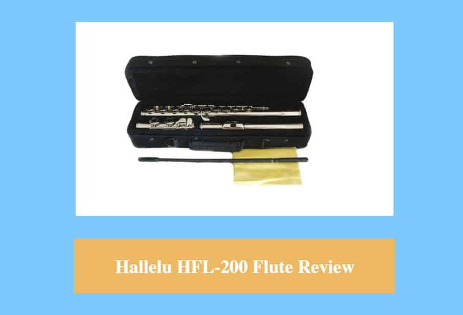 Hallelu HFL-200 Flute Review