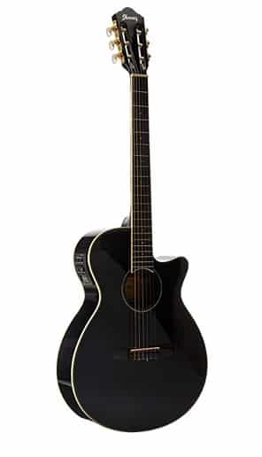 Ibanez AEG10NII Nylon String Cutaway Acoustic-Electric Guitar